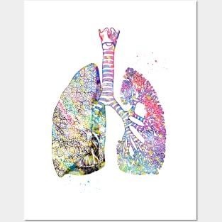 Lungs Art Posters and Art